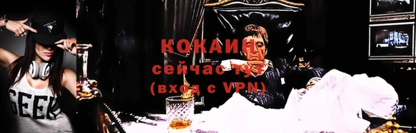 ПСИЛОЦИБИНОВЫЕ ГРИБЫ Абдулино
