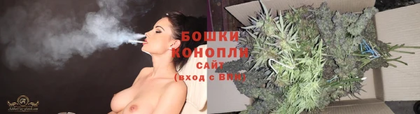 ПСИЛОЦИБИНОВЫЕ ГРИБЫ Абдулино