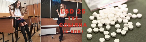 ПСИЛОЦИБИНОВЫЕ ГРИБЫ Абдулино
