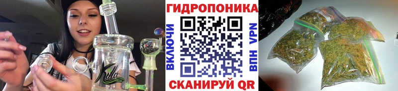 Бошки Шишки Bruce Banner  где купить наркоту  Сафоново 