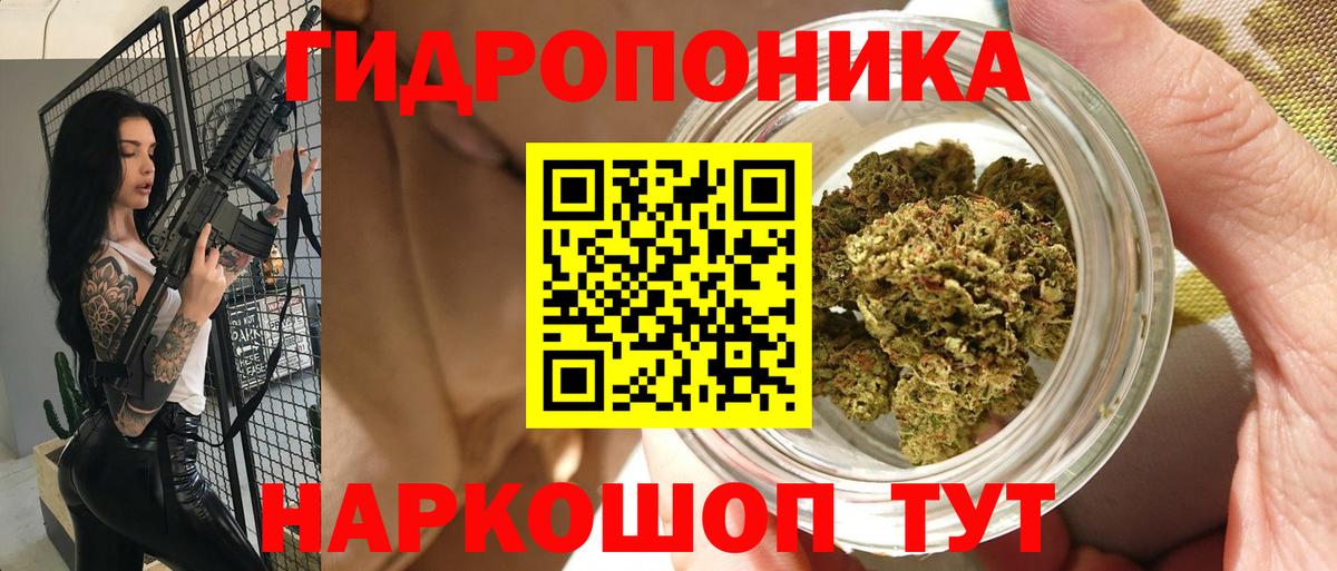 Бошки Шишки семена Сафоново